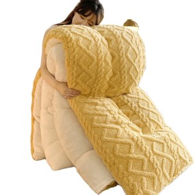 Comforter Set Supplier - Sherpa Flannel Tufted Velvet