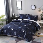 Bedspread Supplier - Flamingo Printed Microfiber Reversible