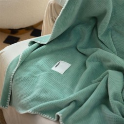 Throw Blanket Supplier - Wholesale Waffle 450gsm Velvet