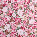 Rayon Fabric Supplier - Lightweight Custom Printed Woven