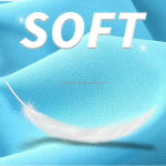 Underwear Fabric Manufacturer - Nylon Spandex Glossy Matte