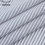 Stripe Linen Fabric Manufacturer - 155GSM Yarn Dyed Lightweight