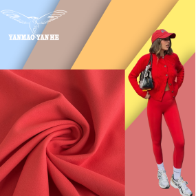 Swimwear Fabric Manufacturer - 4 Way Stretch Matte Bikini