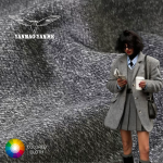 Wool Fabric Manufacturer - 407GSM Heavy-Weight Recycled