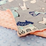Minky Dot Fabric Supplier - Wholesale Super Soft Home Textile