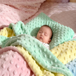 Polyester Fabric Manufacturer - Wholesale Super Soft Minky Dot