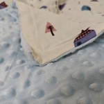 Antibacterial Blanket Manufacturer - 3D Sensory OEKO-TEX Certified