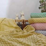 Good Night Velvet Manufacturer - Muslin Soybean Velvet Comfortable