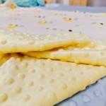 Traffic Jam Velvet Supplier - Muslin Minky Dot Soybean Velvet