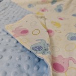 Antibacterial Blanket Manufacturer - 3D Sensory OEKO-TEX Certified