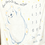 Baby Blanket Manufacturer - 3D Hot Pressed Antibacterial Texture