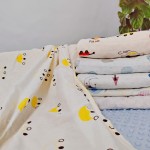 Home Textile Fabric Supplier - Minky Dot Baby Blanket Material