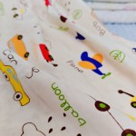 Soft Fabric Factory - Minky Dot Home Textile Wholesale