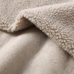 Upholstery Fabric Supplier - Thick Teddy Wool Anti-Pill Yarn Dyed