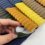 Thick Corduroy Manufacturer - Low Moq Multi-colors Raw