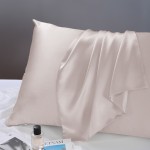 Silk Pillowcase Factory - 19 Mimsan Adult Solid Color