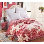 Coral Fleece Blanket Factory - 5.5 KG Luxury