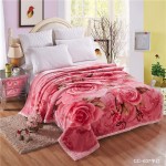 Double Layer Blanket Supplier - Thick Raschel