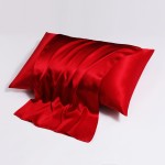 Zippered Pillowcase Supplier - Mulberry Silk Custom Design