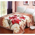 Winter Blanket Supplier - Thickened Raschel