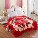 Double Layer Blanket Supplier - Thick Raschel