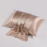 Silk Pillowcase Supplier - Envelope Zipper Closure Luxury