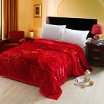 Double Layer Blanket Supplier - Thick Raschel