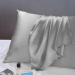 Silk Pillowcase Factory - 19 Mimsan Adult Solid Color