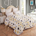 Winter Blanket Supplier - Thickened Raschel