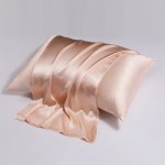Zippered Pillowcase Supplier - Mulberry Silk Custom Design