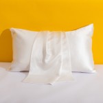 Silk Pillowcase Factory - Wholesale Home Hotel Elegant Box