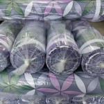 Polyester Fabric Supplier - 100% Disperse Anti-Static