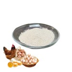 Factory Quality Layer Concentrate Premix Feed for Hen Boost More Eggs and Promote Healthy 5% Layer Premix