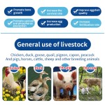Veterinary Usevitamin Supplement with Vitamin A+D3 Growth Promotionimprove Egg Laying Rate