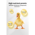 Wholesale Price Duckling Premix Supplement OEM Factory for Duckling Growth Booster Feed Amino Acid Premix
