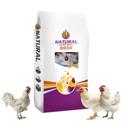 100% Natural Premix for Broiler Chicken Youth 5% Feed to Boost Food Intake and Growth