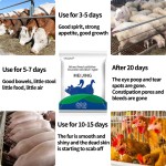 Mixed animal feed additives - Glucose oxidase (type I) antifungal agents