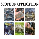 Fish Promotes Rapid Growth of Fish. Aquatic Feed Additive, Complex Bacillus Subtilis