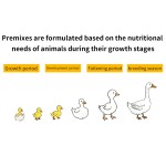 Wholesale Price Duckling Premix Supplement OEM Factory for Duckling Growth Booster Feed Amino Acid Premix