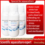 Feed Additive Allicin Garlic Extract Allicin Used in Poultry Aquaculture