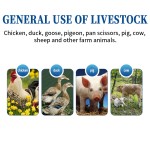 Hot Sale Lower the Temperature Used for Livestock and Poultry	chicken Feed Premix Feed Additives