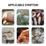 Hot Sale Lower the Temperature Used for Livestock and Poultry	chicken Feed Premix Feed Additives
