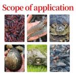 Growth Promoting Feed Additives for Shrimp and Crab in Aquaculture