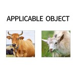 Good Effect Livestock Feed	cattle Feed Animal Feed Additives