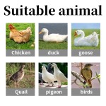 Wholesale Price Nutritional Additives Poultry Vitamins Growth Promoter Feed Additives