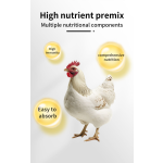 High Quality Low Price Layer Chicken Feed Increase Lay Eggs Feed Additives Layer Hen Premix Products
