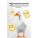 High Protein 5% Laying Duck Premix with Probiotic Nutrient-Rich Animal Feed Booster for Increased Egg Production
