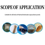New Arrival Amino Acid Powder Animal Feed Premix Additives for Fish/Shrimp/Crab Aquaculture Farm Water Purification Additives