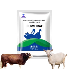 Quick Effect Probiotics Animal Regulating the Intestines Pig Horse Cattle Feed Additives
