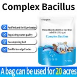 High Quality Feed Additive for Aquaculture Probiotics Bacillus Subtilis